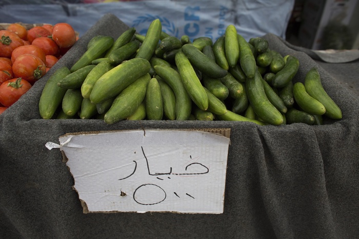 «Магнит» будет торговать фруктами и овощами из Сирии
