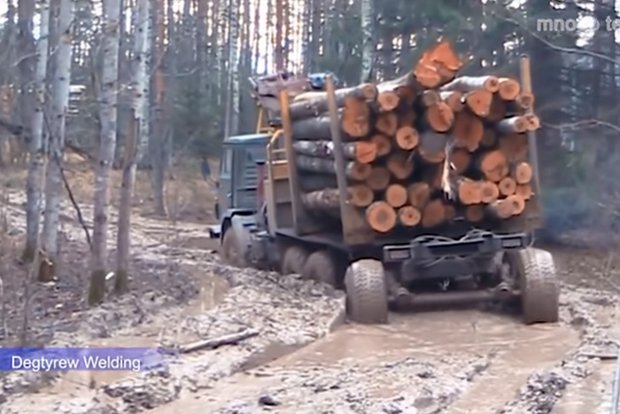 Полиция Екатеринбурга изъяла машину незаконного леса