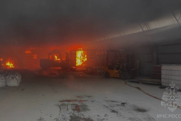 Есть погибшие: на аэродроме под Рязанью взорвался бензовоз