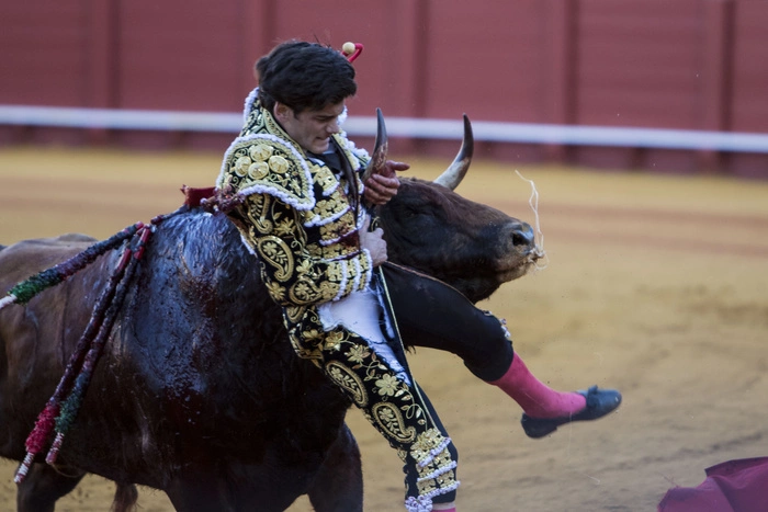 Коррида в Испании закончилась смертью тореадора впервые за 30 лет