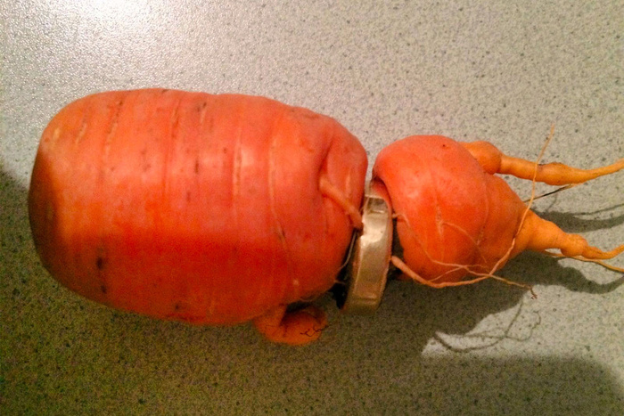 Пенсионер нашёл золото в моркови