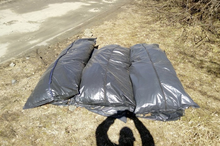 «Мода» на мешки для трупов под мусор на субботниках дошла до Урала