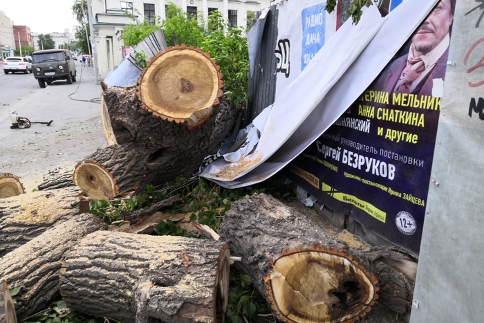 Из-за урагана в Екатеринбурге рухнуло огромное дерево в центре города