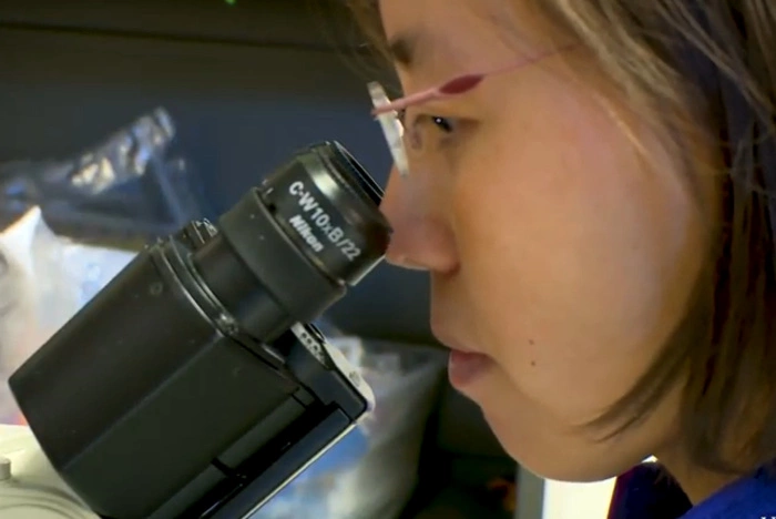 Эксперты НИУ ВШЭ объяснили разницу зарплат в 28% между мужчинами и женщинами в России