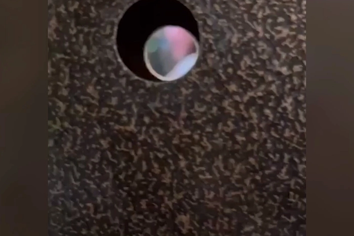 Вырвали глаз: в многоэтажке Екатеринбурга неизвестные устроили бойню