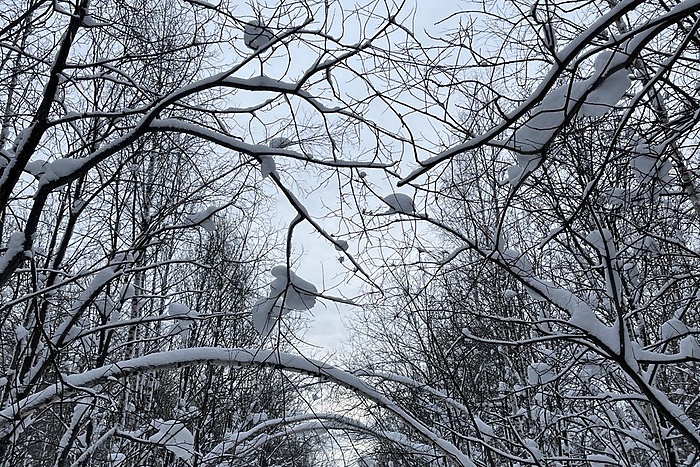 После аномальных морозов Свердловскую область засыплет снегом