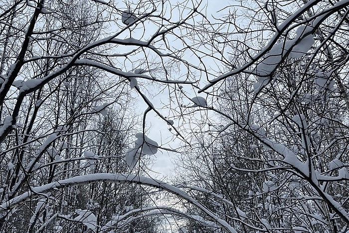 После аномальных морозов Свердловскую область засыплет снегом