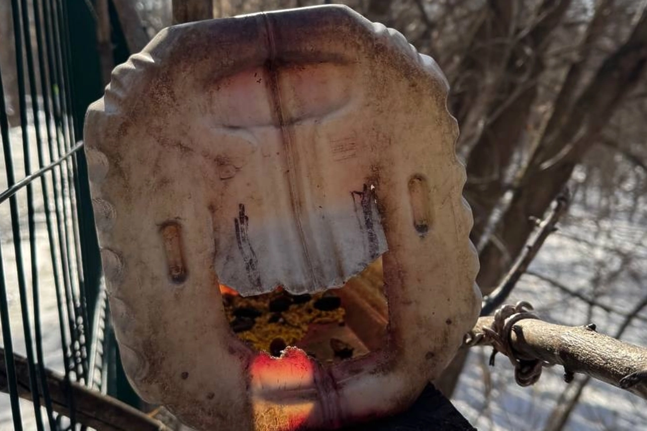 Парк Маяковского в Екатеринбурге избавится от «доморощенных» кормушек