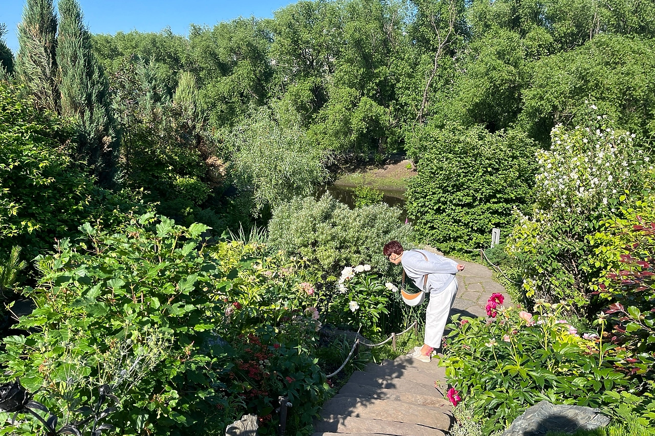 Дачникам назвали растения, за выращивание которых их могут привлечь к уголовной ответственности