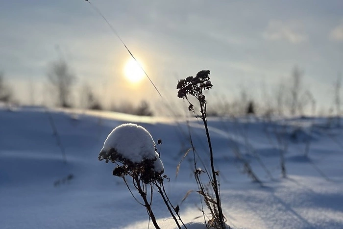 Об аномальных морозах официально объявили синоптики в Свердловской области