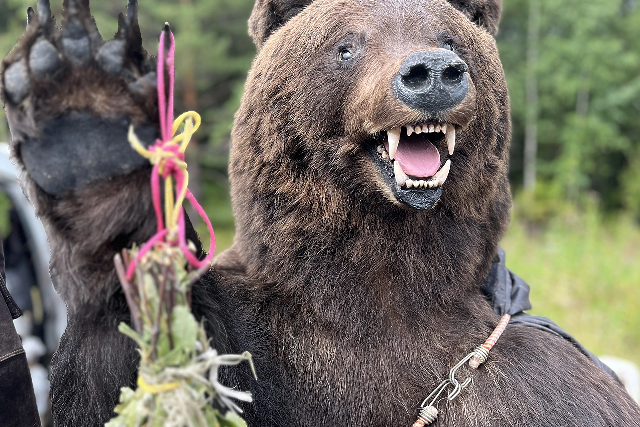 Эксперт сообщил, что нельзя делать при встрече с медведем