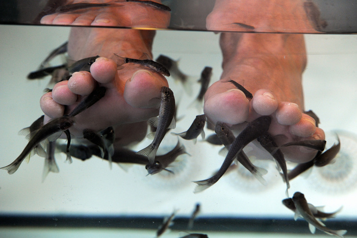 «Рыбий педикюр» лишил австралийку всех пальцев на ноге