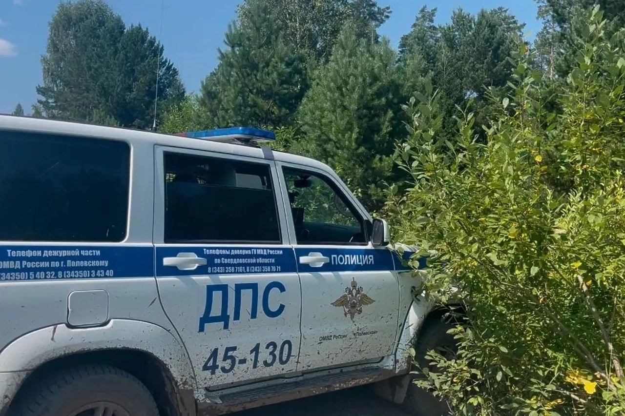 Пропавшую под Полевским 66-летнюю местную жительницу, ушедшую с мужем в лес, нашли