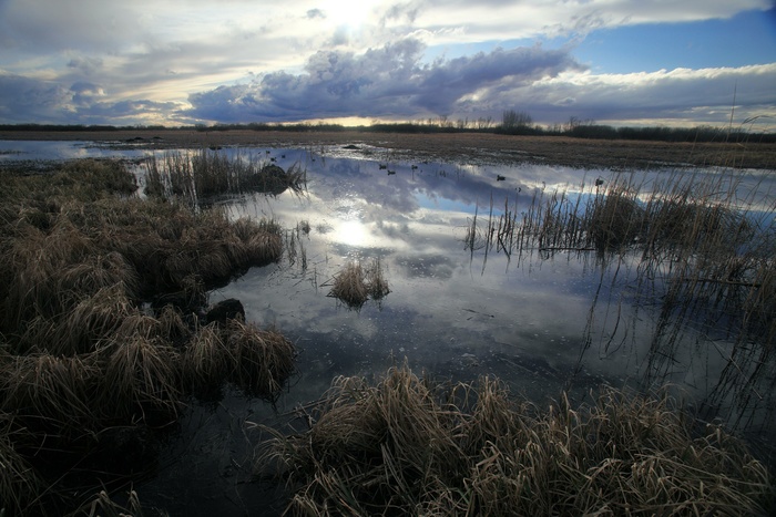 На Южном Урале достали из реки утонувшего тракториста