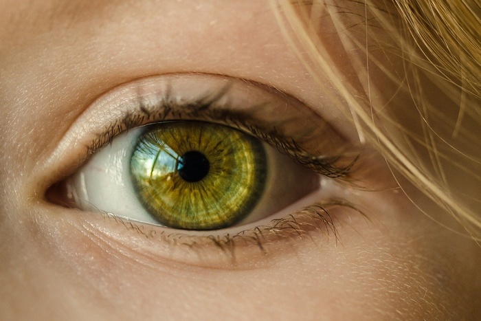 Зрение полностью восстанавливается после всего одной инъекции наночастиц. Пока только у грызунов