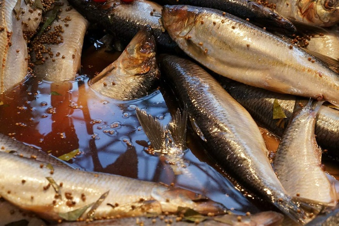 Россия запретила импорт рыбопродукции из Латвии и Эстонии