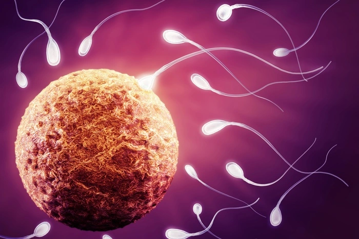 В финских клиниках острая нехватка спермы