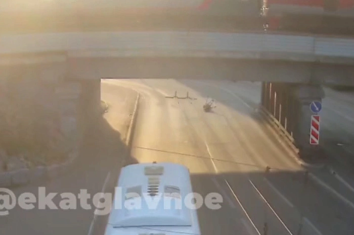 Под мостом на Малышева обнаружили мёртвого лося