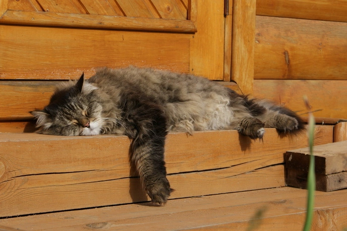 В правительстве определили праздничные дни в 2017 году