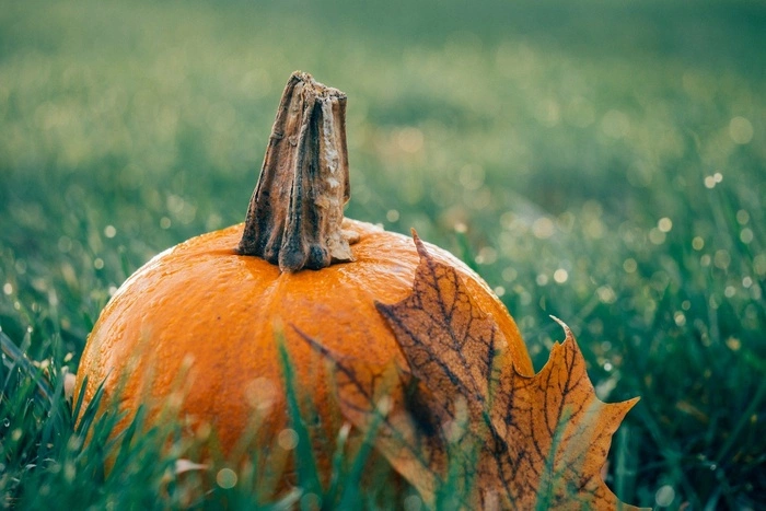 Какие законы вступают в России в силу с 1 октября