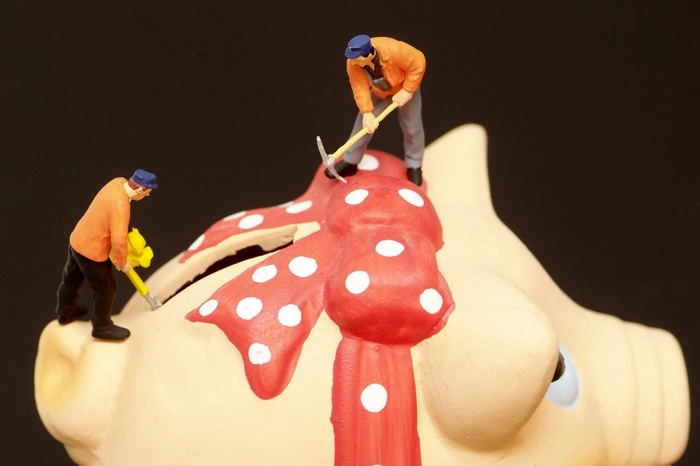 Счетная палата обнаружила в России сотни необъяснимых неналоговых сборов