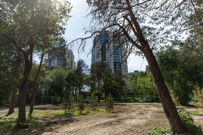 Александр Высокинский назвал сроки завершения реконструкции Зеленой рощи