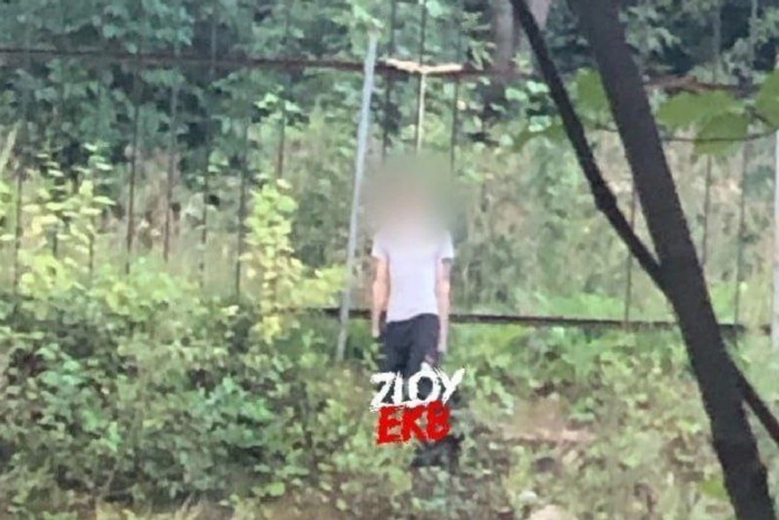 Труп молодого человека обнаружила екатеринбурженка, гуляя с собакой