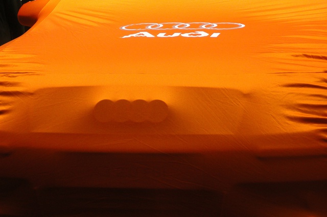 Немецкая мошенница отобрала Audi A6 у жителя Екатеринбурга