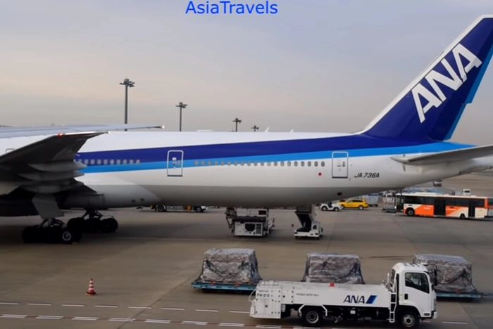 Пилот экстренно севшего в Новосибирске японского «Боинга» остался в больнице