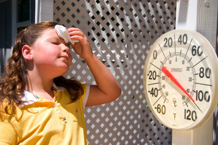 На западном побережье США спрогнозировали жару до 49°C