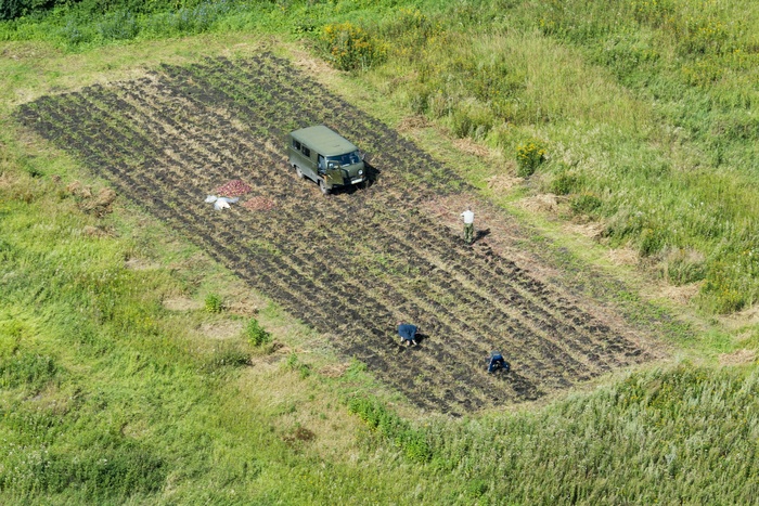 Свердловские аграрии приступили к уборке урожая