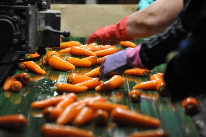 Вы удивитесь: названа стоимость «борщевого набора» на Урале