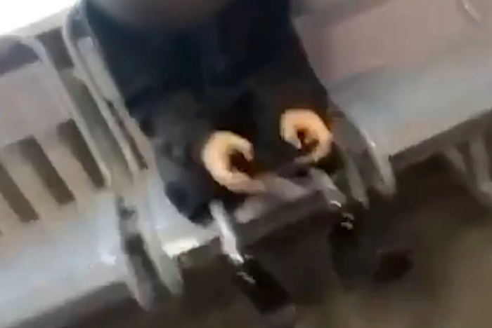В Петербурге одноклассники сняли глумливый ролик с мальчиком без обеих ног