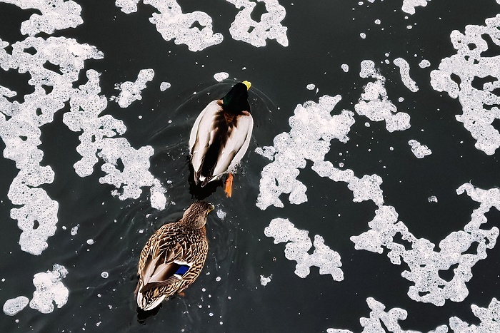 Гидрометцентр России опубликовал для Среднего Урала прогноз на март