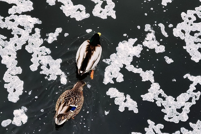 Гидрометцентр России опубликовал для Среднего Урала прогноз на март