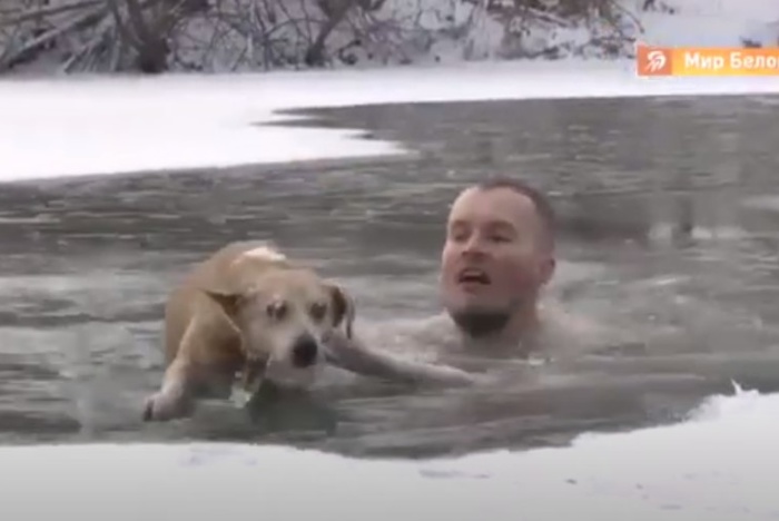 Журналист спас собаку во время съёмки сюжета — видео