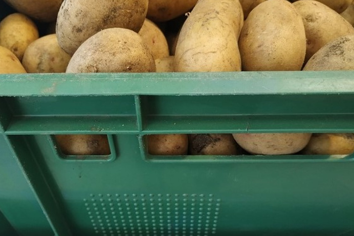 Екатеринбуржцы после праздников нашли в магазинах картошку по 100 рублей