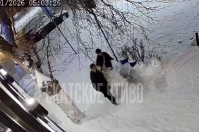 В Екатеринбурге неизвестные украли новогоднюю ёлку у ресторана