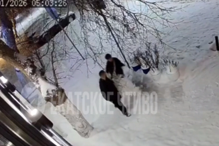 В Екатеринбурге неизвестные украли новогоднюю ёлку у ресторана