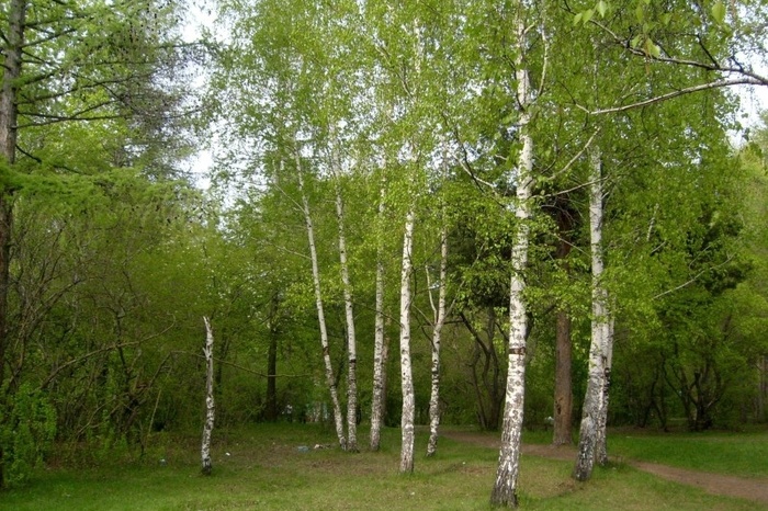 В Екатеринбурге в парке Юго-Западного района нашли труп женщины