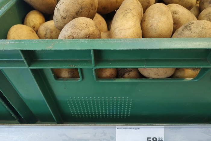 Свердловский фермер: к зиме картофель подорожает до 100 рублей