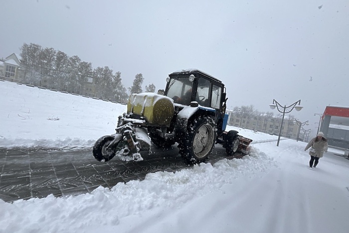 Россияне могут получить деньги за неубранные от снега дворы