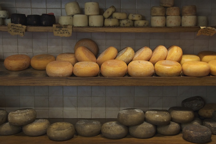 Производство сыра в Свердловской области увеличилось на 58%