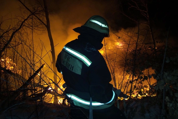 Женщина с маленьким мальчиком погибли при пожаре в Артемовском