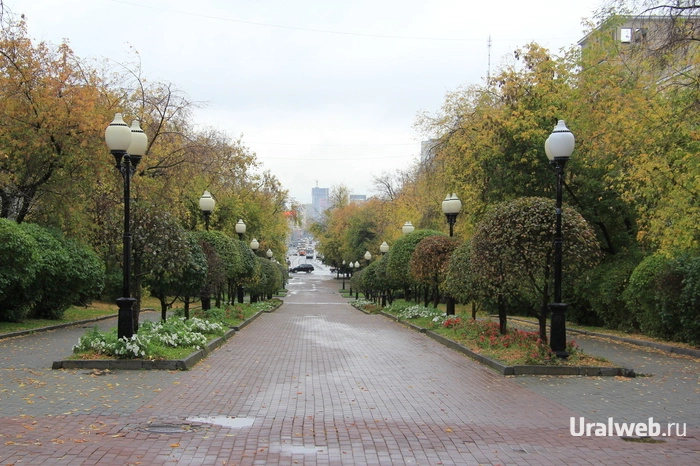 В выходные по проспекту Ленина не будут ходить трамваи