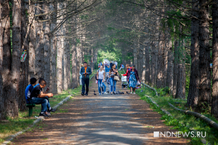 Жители Екатеринбурга пожаловались на запущенность Ботанического сада