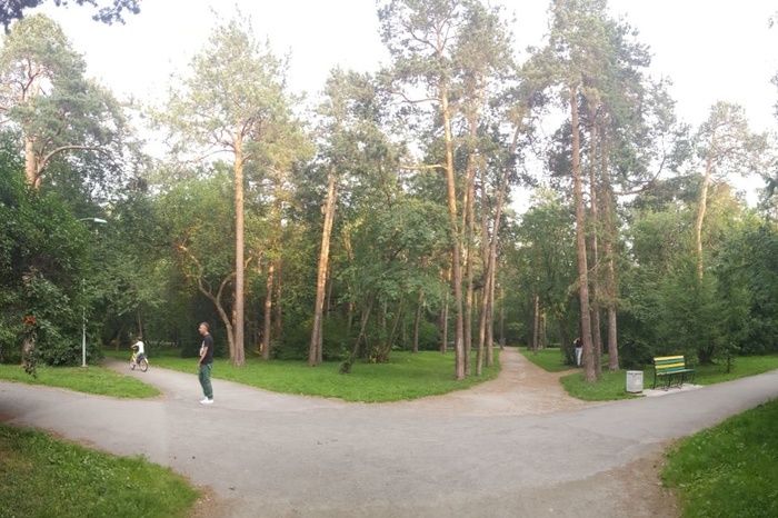 В Екатеринбурге пройдут общественные слушания по парку «Зеленая роща»
