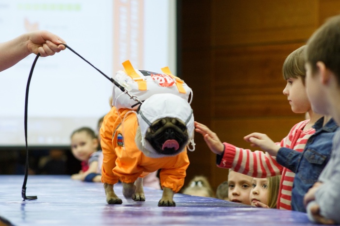 В Екатеринбурге состоялся модный показ собак — астронавтов
