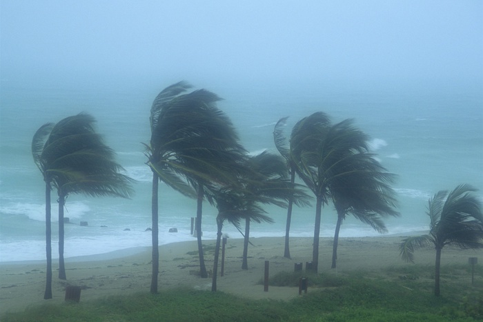 Во время шторма в Майами наблюдалось редкое погодное явление — «дождь из мебели»