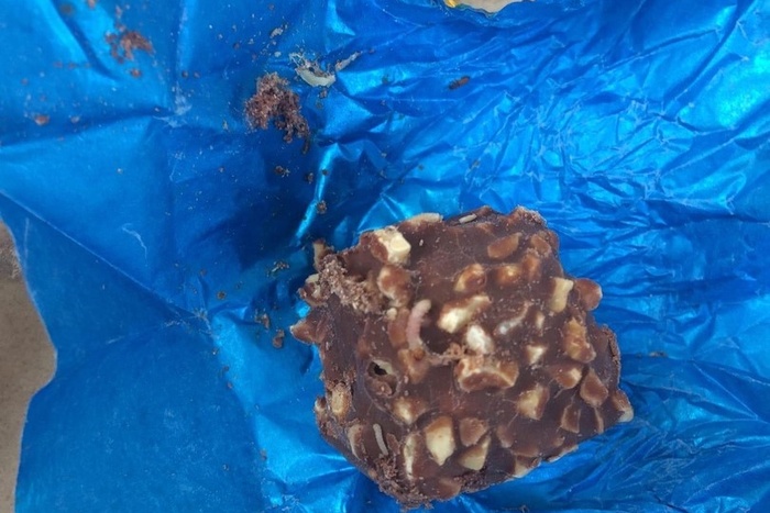 «Червяки и жуки»: екатеринбуржец купил конфеты с насекомыми